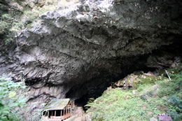 ●神瀬石灰洞窟