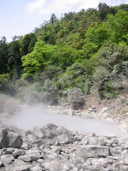 ●栗野岳温泉